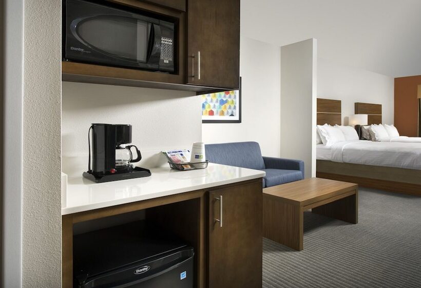 Suite Adaptada per a persones amb mobilitat reduïda, Holiday Inn Express & Suites Bay City, An Ihg