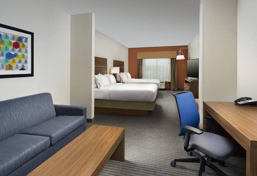 Suite Adaptada per a persones amb mobilitat reduïda, Holiday Inn Express & Suites Bay City, An Ihg