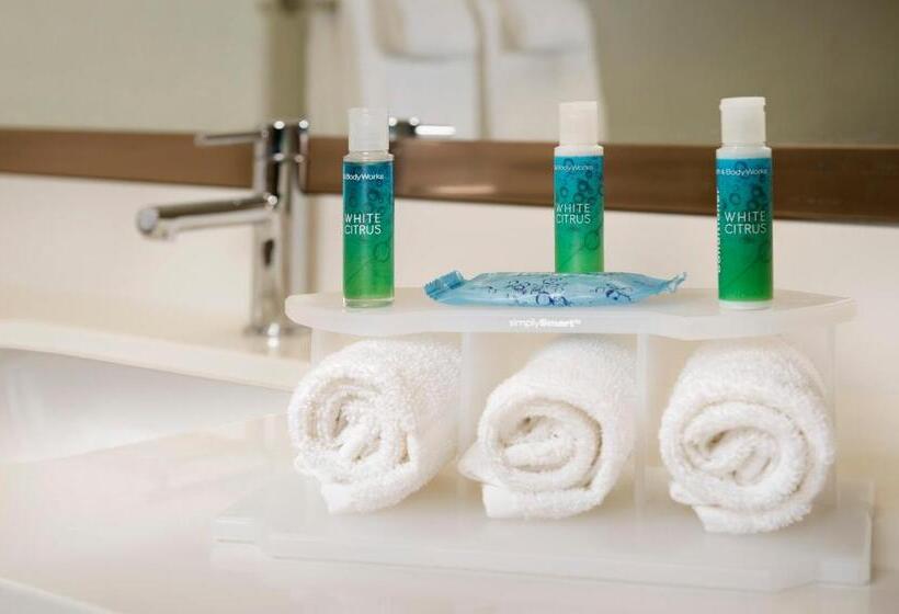 Habitació Estàndard Llit King Adaptada per a persones amb mobilitat reduïda, Holiday Inn Express & Suites Bay City, An Ihg