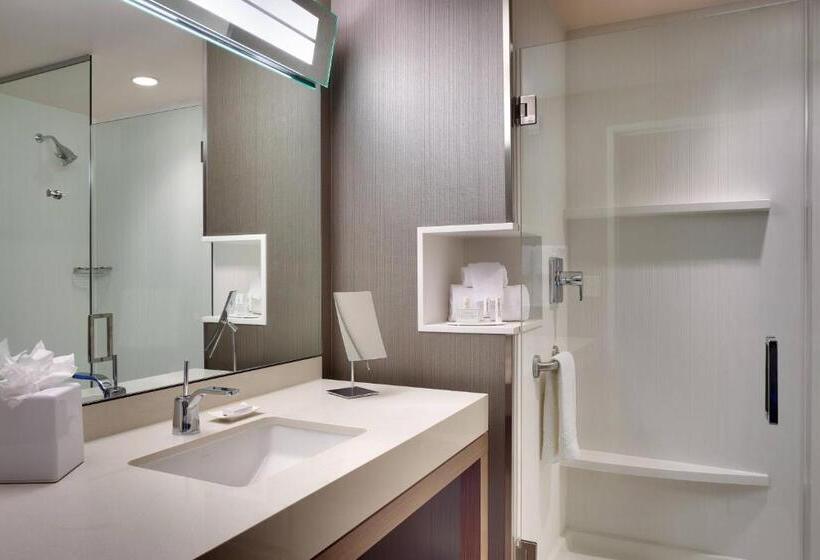Стандартный Номер Кровать Кинг, Courtyard By Marriott Phoenix Mesa Gateway Airport