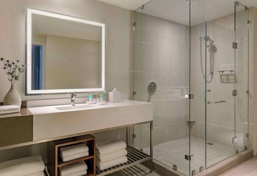スタンダードルーム, Hyatt Regency Houston Galleria