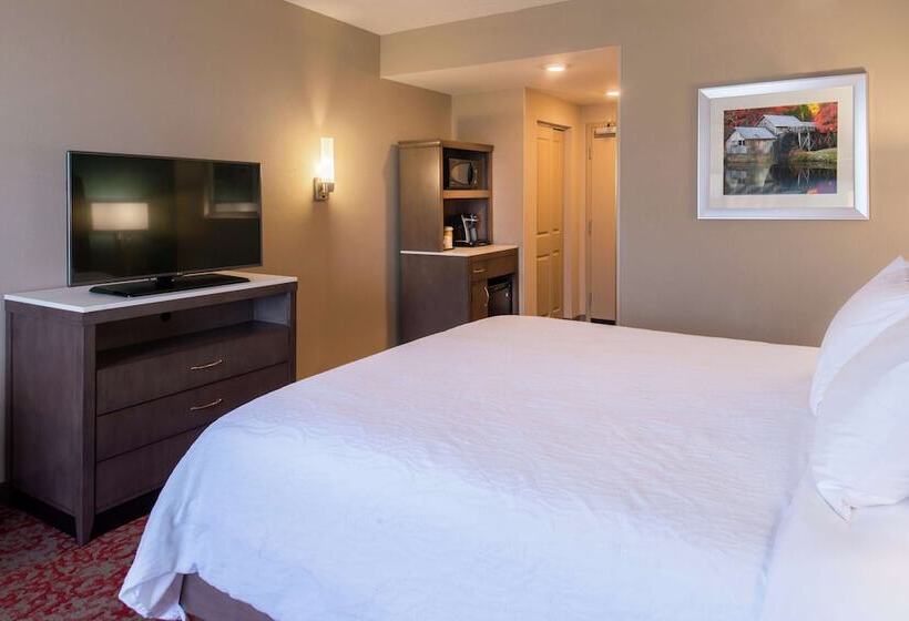 Номер Стандарт Кровать Кинг Адаптированный для Инвалидов, Hilton Garden Inn Bristol