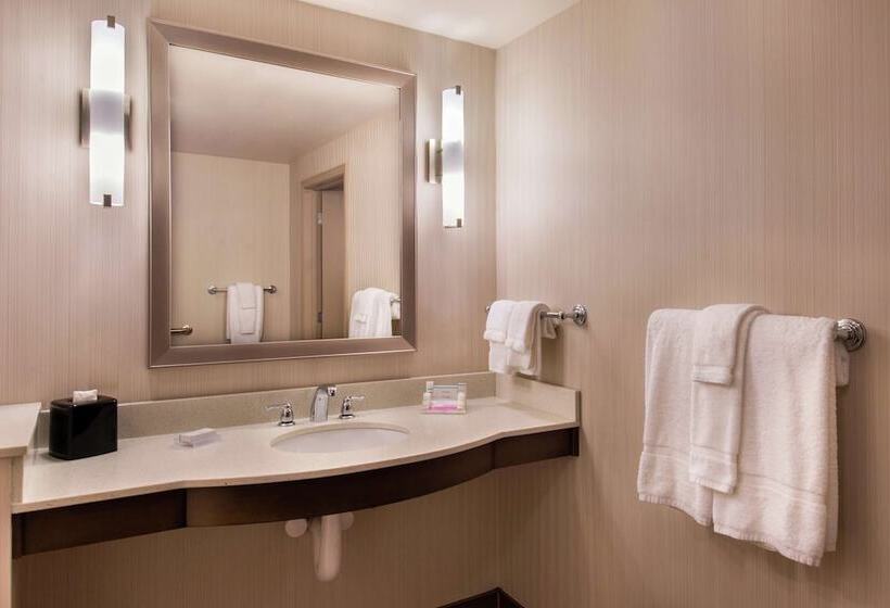 Номер Стандарт Кровать Кинг Адаптированный для Инвалидов, Hilton Garden Inn Bristol