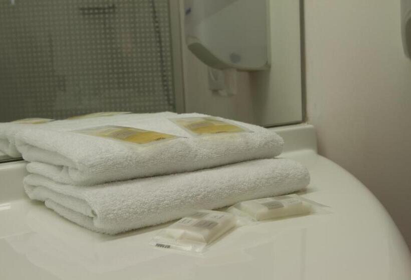 Номер Стандарт Трехместный, Brit Hotel Confort Villeneuve Sur Lot