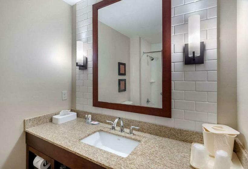 带大床的标准间, Comfort Inn & Suites Lynchburg Airport   University Area