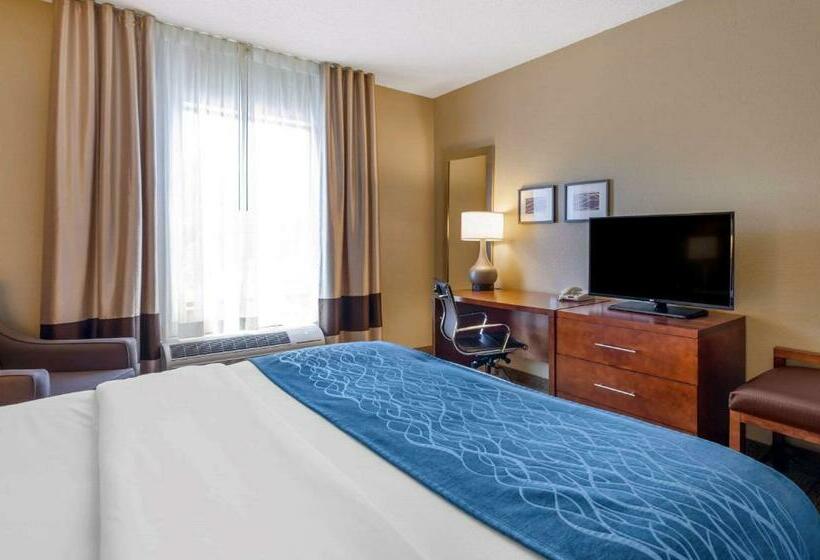 带大床的标准间, Comfort Inn & Suites Lynchburg Airport   University Area