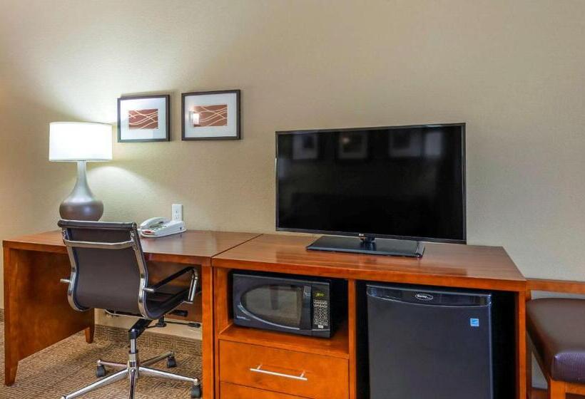 带大床的套房, Comfort Inn & Suites Lynchburg Airport   University Area