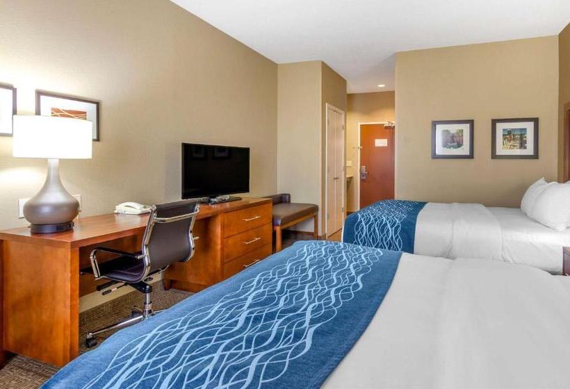 适合残疾人使用的标准间, Comfort Inn & Suites Lynchburg Airport   University Area