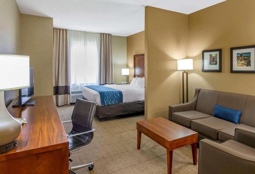 适合残疾人士使用的套间, Comfort Inn & Suites Lynchburg Airport   University Area