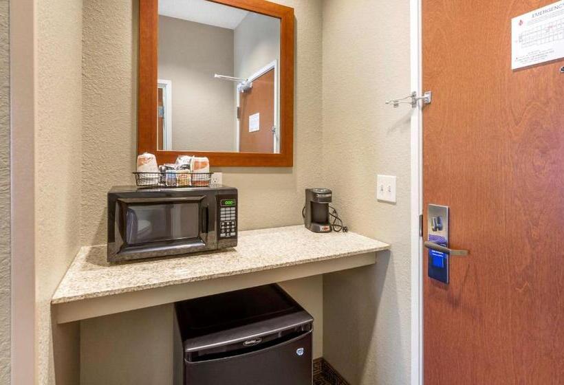 适合残疾人士使用的带超级大床的标准间, Comfort Inn & Suites Lynchburg Airport   University Area
