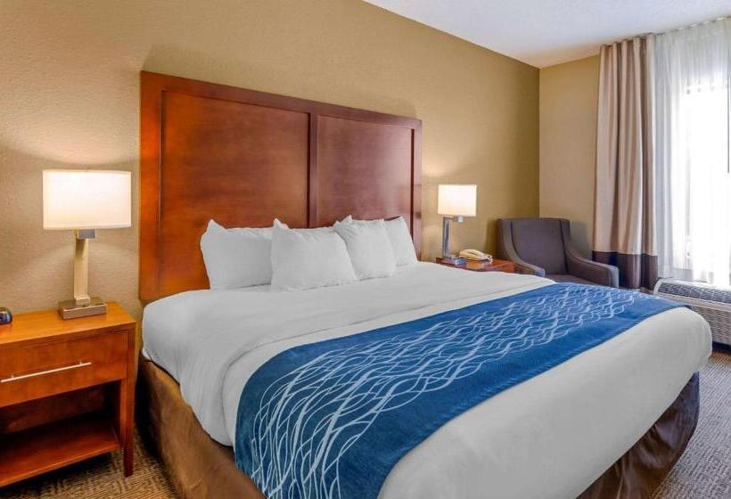 适合残疾人士使用的带超级大床的标准间, Comfort Inn & Suites Lynchburg Airport   University Area