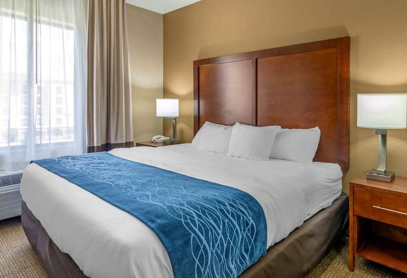 适合残疾人士使用的套间, Comfort Inn & Suites Lynchburg Airport   University Area