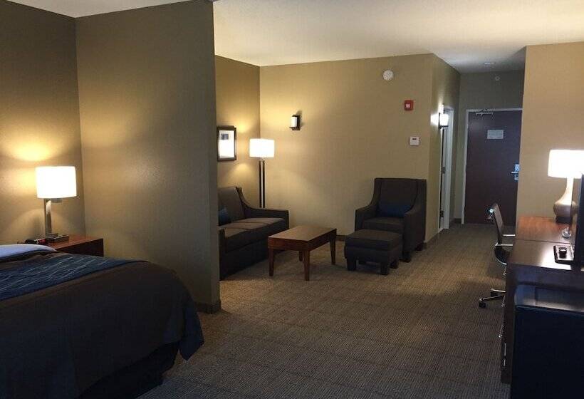 适合残疾人士使用的套间, Comfort Inn & Suites Lynchburg Airport   University Area