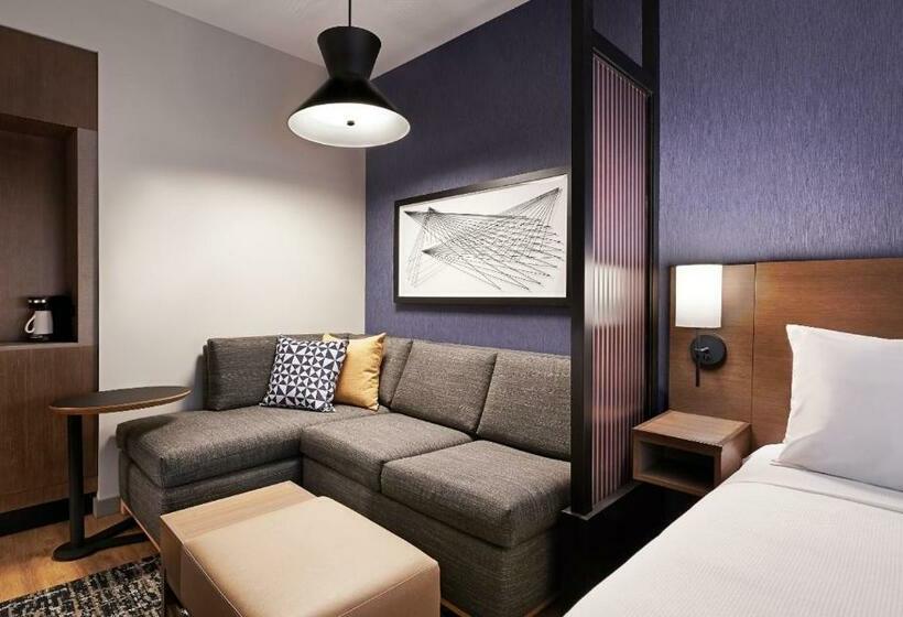 Номер Стандарт Кровать Кинг Адаптированный для Инвалидов, Hyatt Place Boise Meridian
