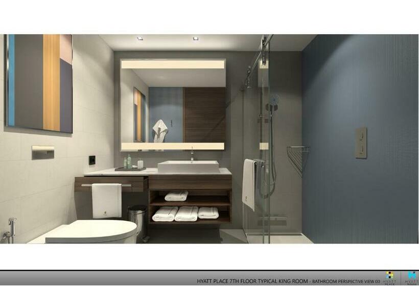 Номер Стандарт Адаптированный для Инвалидов, Hyatt Place Boise Meridian