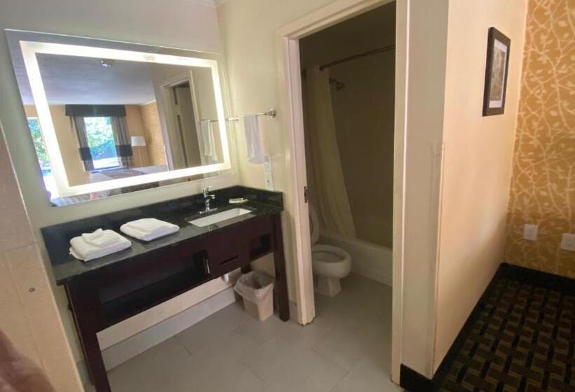 スタンダードシングルルーム, My Home & Suites Toccoa