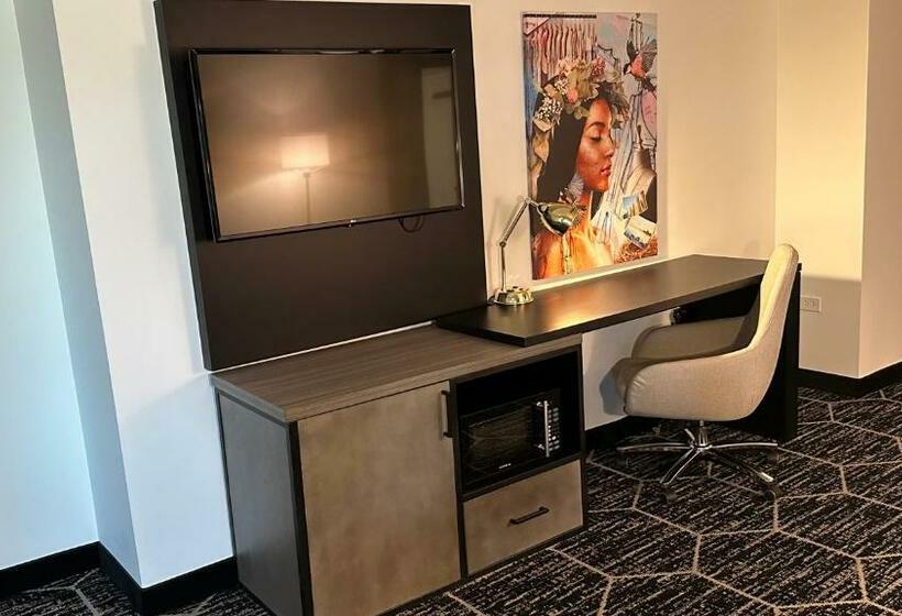 Cameră Standard Pat King Size, La Quinta By Wyndham Chicago O Hare Airport