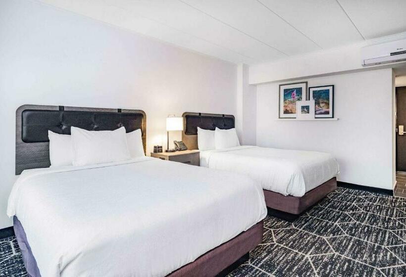Cameră Business, La Quinta By Wyndham Chicago O Hare Airport
