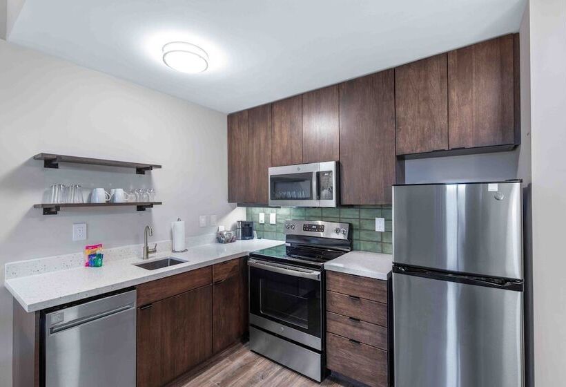 Люкс, Residence Inn By Marriott Atlanta Covington