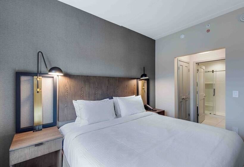 Люкс, Residence Inn By Marriott Atlanta Covington