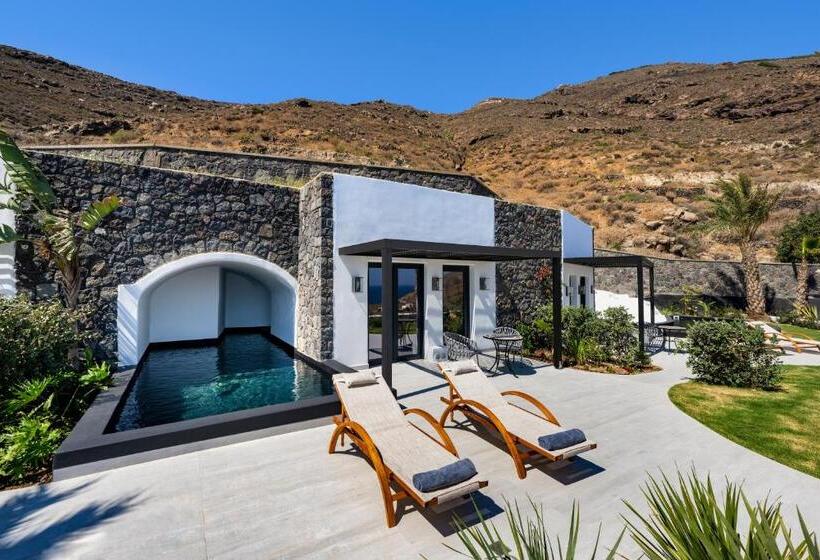 Люкс Сеньор, Palm Island Suites