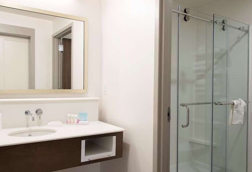 장애인을 위한 킹사이즈 침대 스탠다드 룸, Hampton Inn & Suites Grand Rapids Downtown