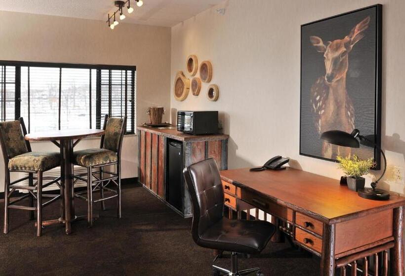 Полулюкс, Stoney Creek Hotel Kansas City   Independence