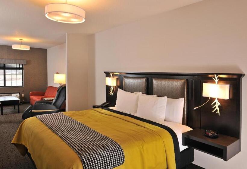 Номер Superior Кровать Кинг, Stoney Creek Hotel Kansas City   Independence