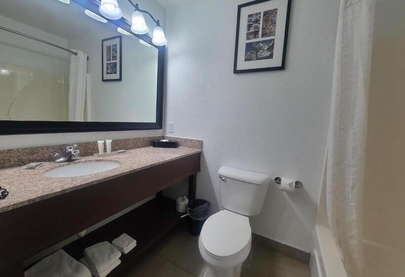 اتاق استاندارد با تخت بزرگ, Country Inn & Suites By Radisson, Paducah, Ky