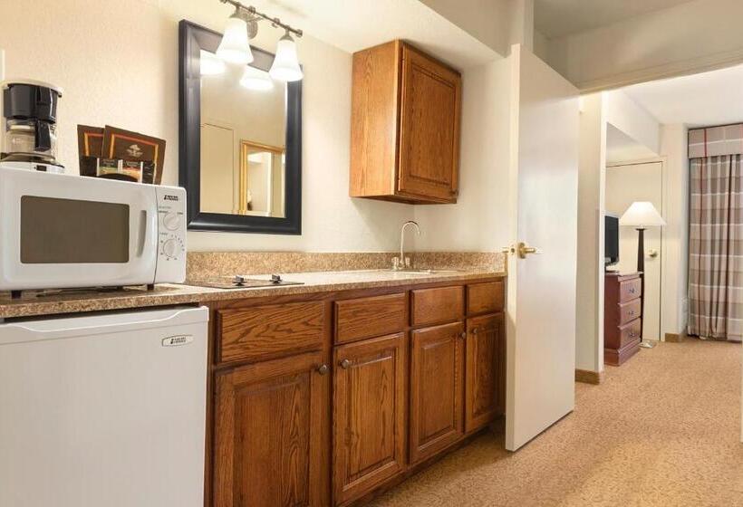 استودیو استاندارد با تخت کینگ, Country Inn & Suites By Radisson, Paducah, Ky