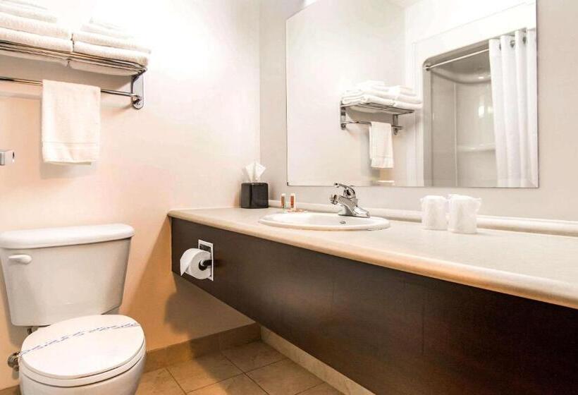 Номер Стандарт, Econo Lodge Inn & Suites
