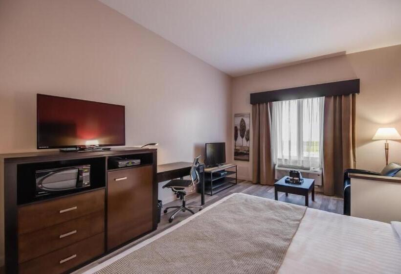 Люкс Кровать Кинг, Econo Lodge Inn & Suites