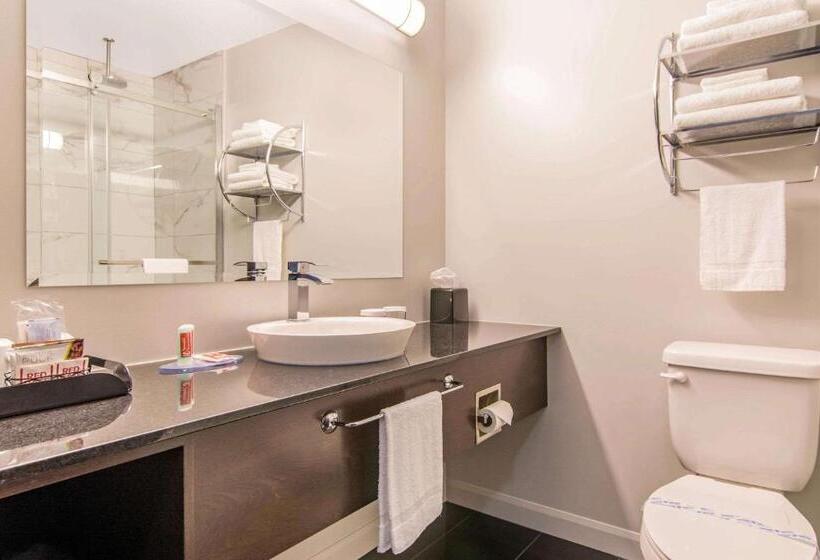 Четырехместный Номер Стандарт, Econo Lodge Inn & Suites