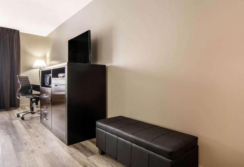 Стандартный Номер Кровать Кинг, Econo Lodge Inn & Suites