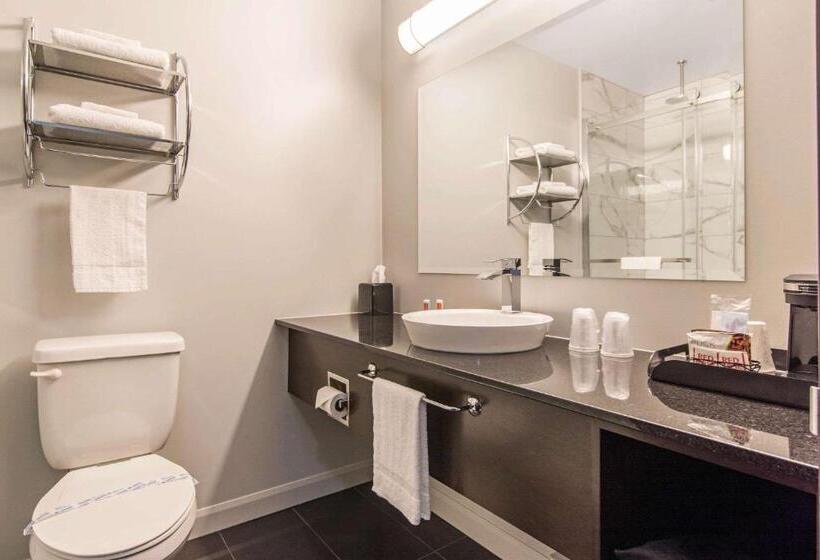 Стандартный Номер Кровать Кинг, Econo Lodge Inn & Suites
