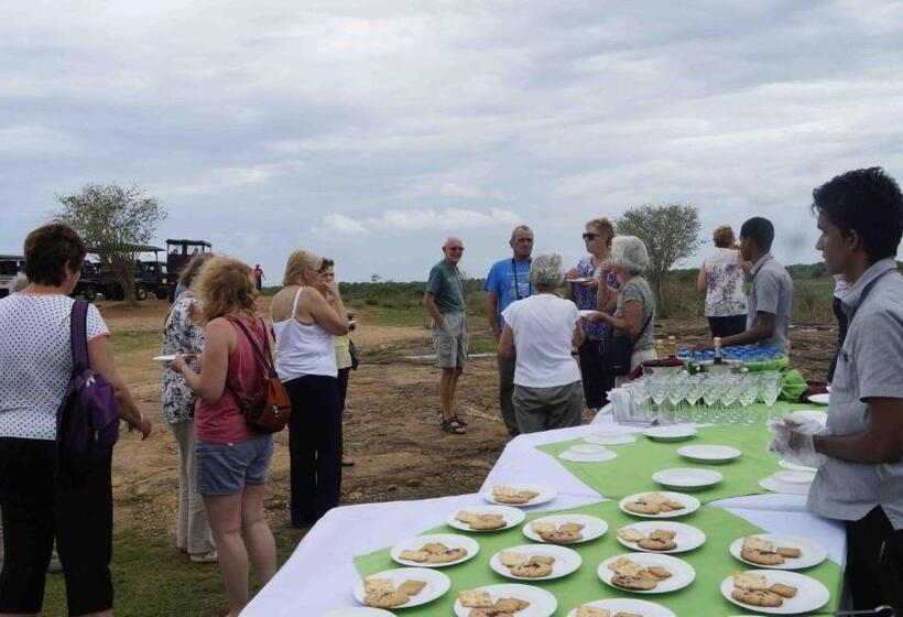 چادر با خدمات رفاهی لوکس, Athgira River Camping   Udawalawe