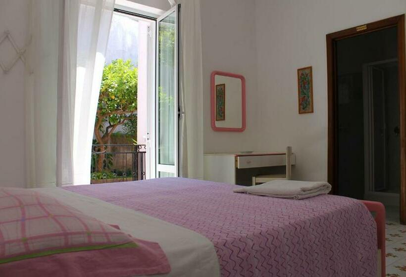 اتاق اکونومی, B&b Luna Di Miele