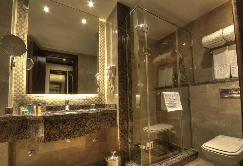اتاق اجرایی یک تخته, Africana Hotel & Spa