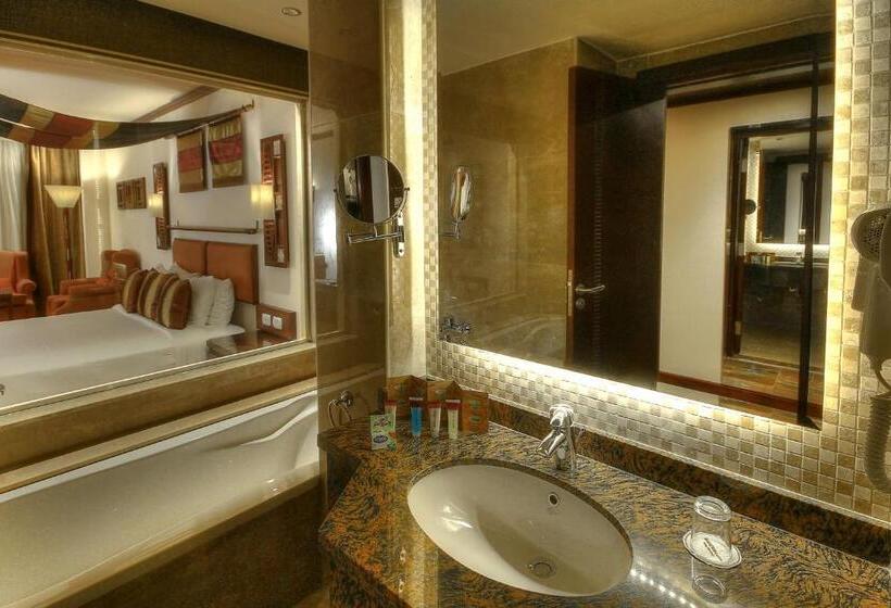 اتاق اجرایی یک تخته, Africana Hotel & Spa