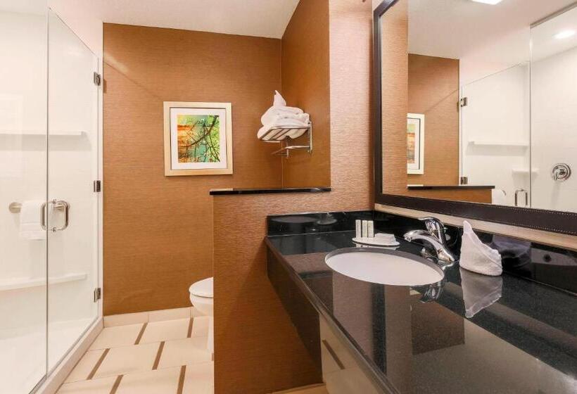 Студио Стандарт Кровать Кинг, Fairfield Inn & Suites By Marriott Pleasanton