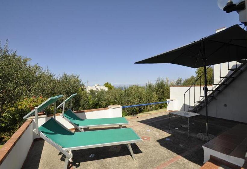 اتاق استاندارد با تراس و چشم‌انداز دریا, Villa Eva