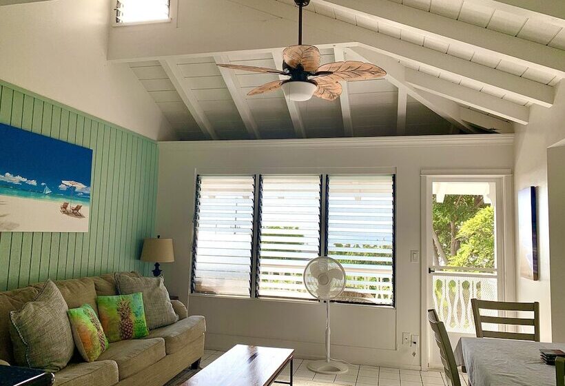 Номер Стандарт, Big Island Retreat