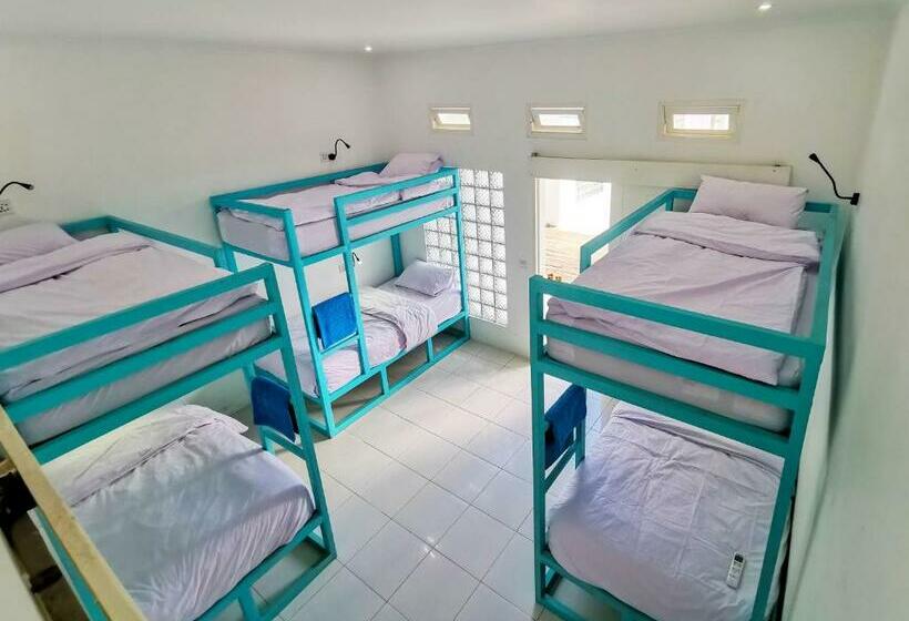 سرير فى غرفة مشتركه, Mad Monkey Kuta Lombok