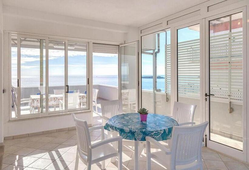آپارتمان سوپریور 1 خوابه, Residence La Punta