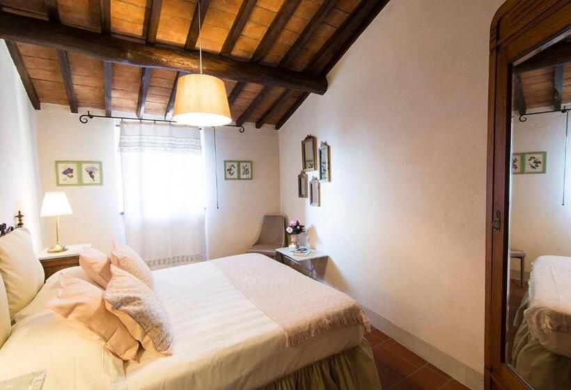Номер Стандарт, Borgo Solamore