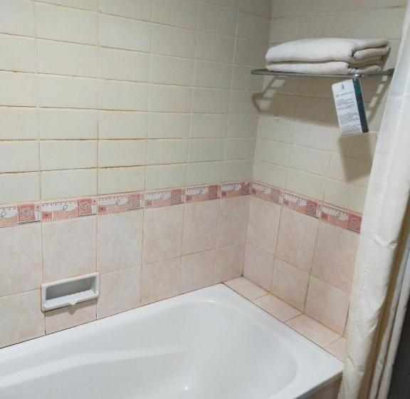 Номер Deluxe, Sofia Juanda Surabaya