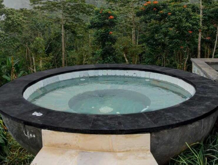Президентский Люкс, Munduk Moding Plantation Nature Resort