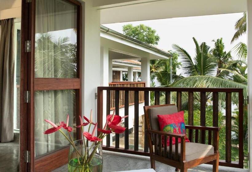 스위트, Purity At Lake Vembanad