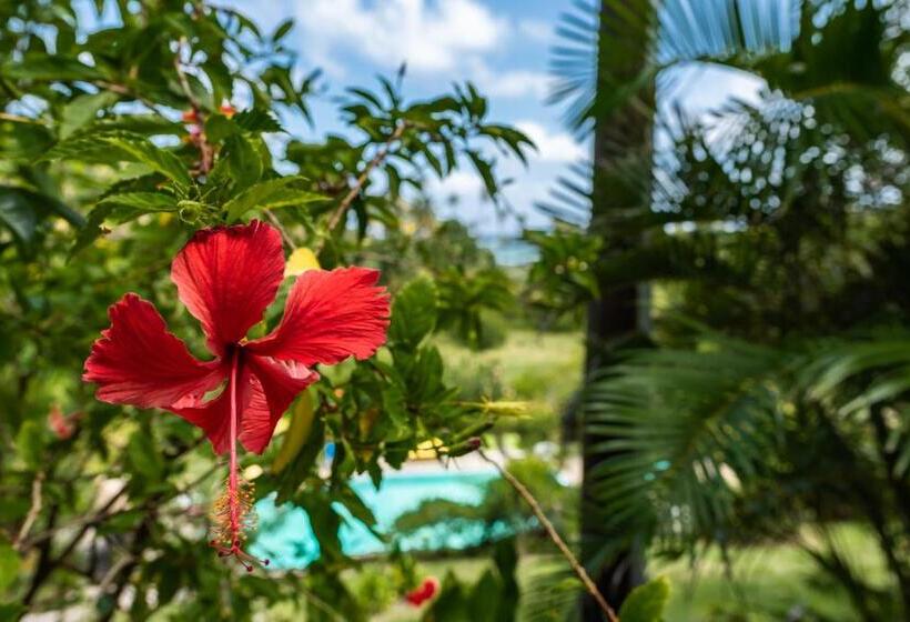 חדר סטנדרט עם מיטת קינג, Firefly Estate Bequia