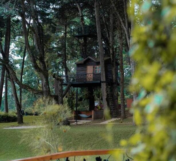 اتاق خانوادگی, Asgard Resort Guatemala